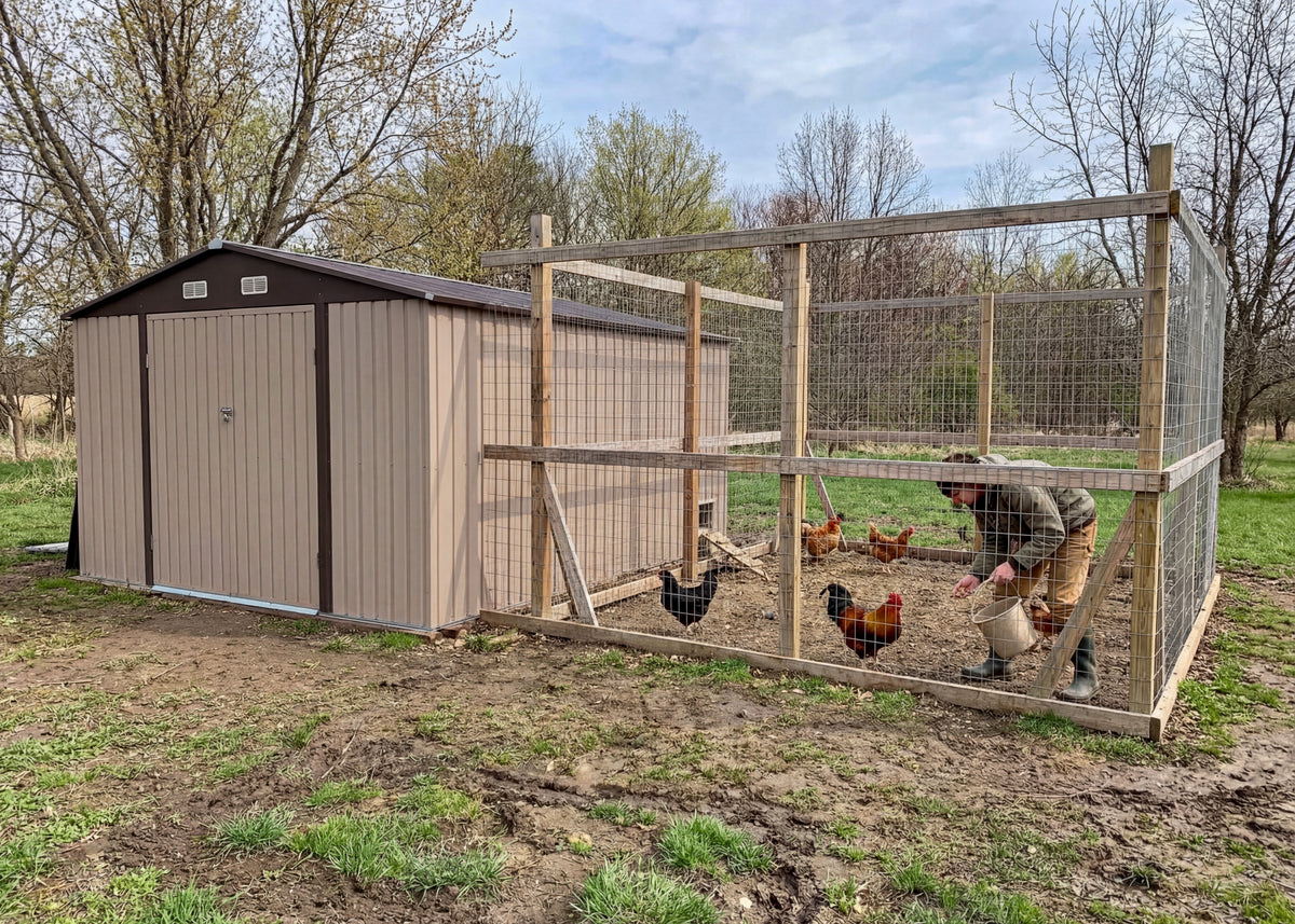 Spring Into Poultry:
Raising Chickens in Patiowell Shed