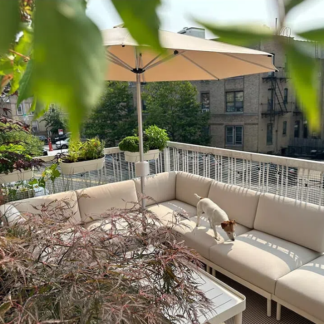 Size(Foot):9FT(Base Not Included),9FT(Base Included)|Color:Beige,Light Blue,red