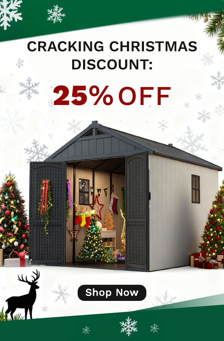 CRACKING CHRISTMAS DISCOUNT: 25% OFF